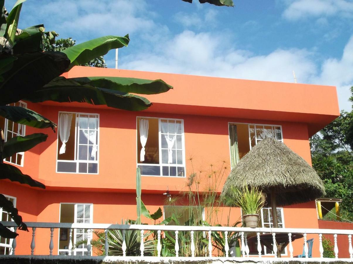 Hostal Tena Naui Kültér fotó